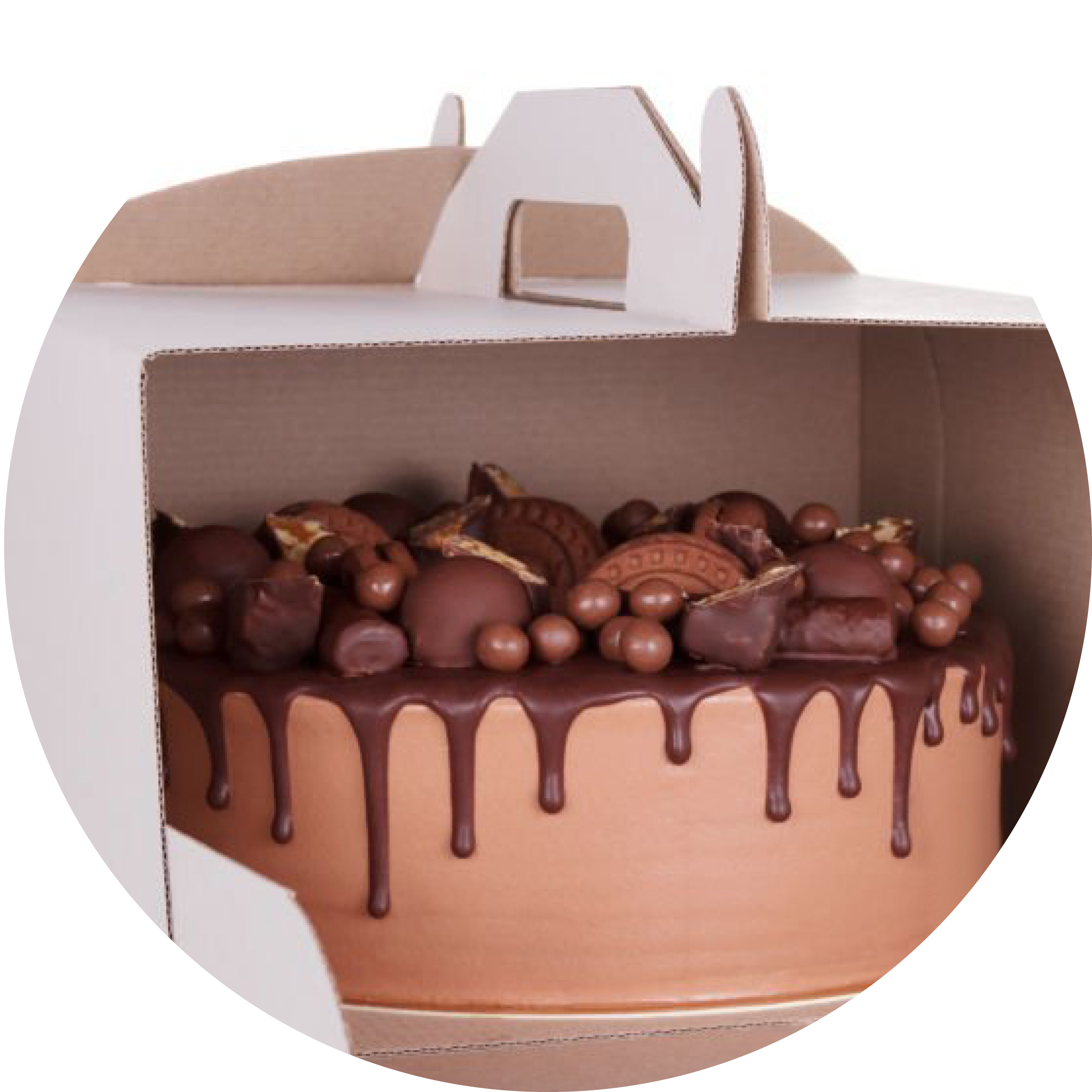 torta-box